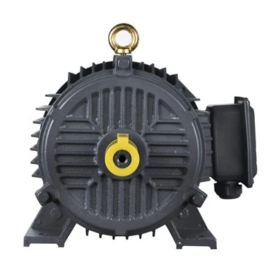 Energia-Motor conpato che risparmia alta-coppia